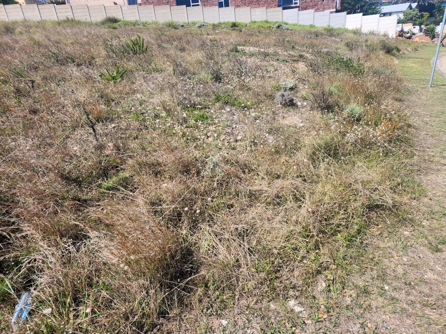 0 Bedroom Property for Sale in Dana Bay Western Cape